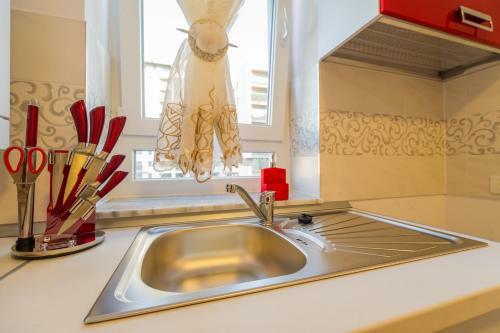 Apartamento Deluxe Suite Coresi