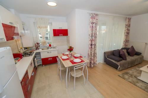 Apartamento Deluxe Suite Coresi
