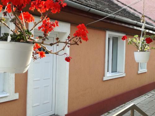 Apartamento Casa Anastasiei