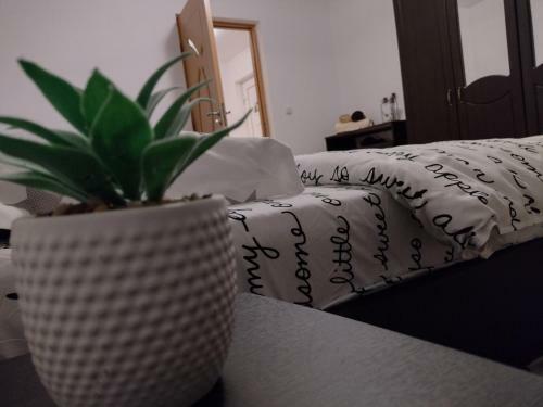Apartamento Casa Anastasiei