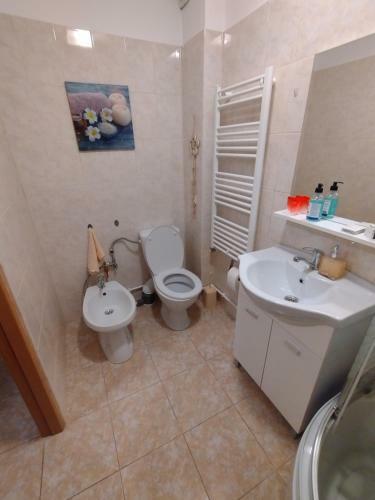 Apartamento Casa Anastasiei