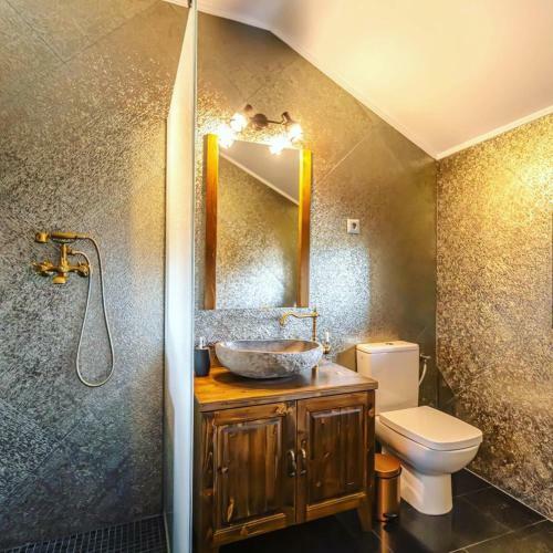 Hostal Transilvania Mansion