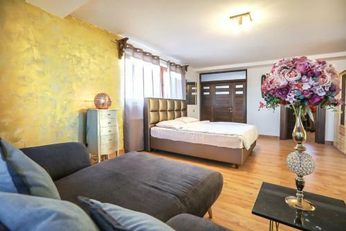 Hostal Transilvania Mansion