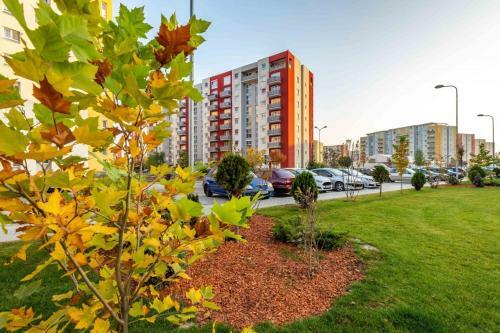 Nico's Home, Brasov 4U - One Room Apartment