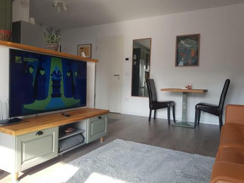 Apartamento Alfinio Studio Coresi
