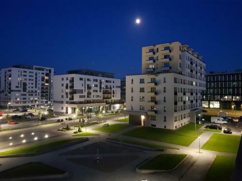 Apartamento Alfinio Studio Coresi