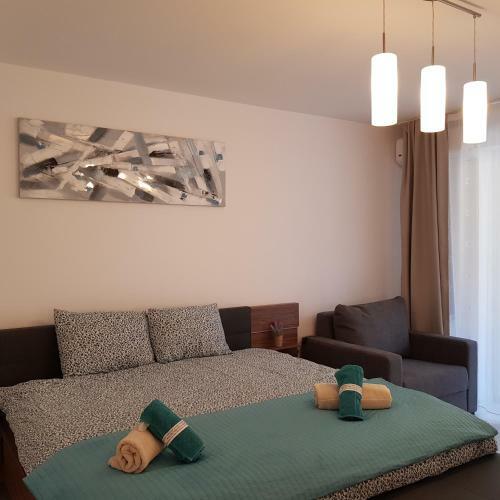 Apartamento T&m