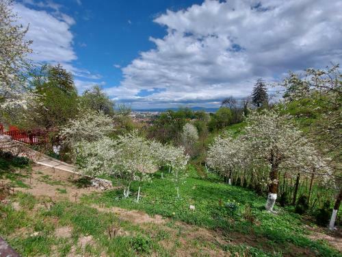 Apartament Matei