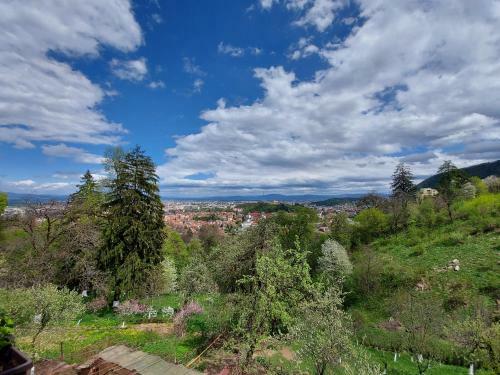 Apartament Matei