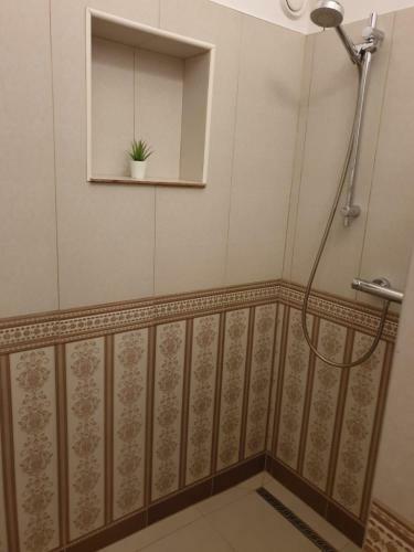 Apartamento Vlad Accommodation Cozy Studios