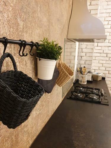 Apartamento Vlad Accommodation Cozy Studios