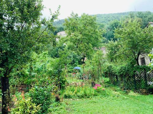 Maan Central Apartment Pet Friendly Location