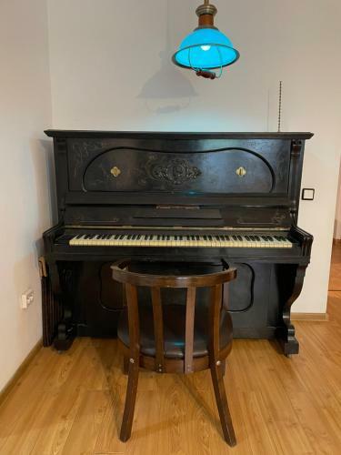 Maan Central Apartment Pet Friendly Location