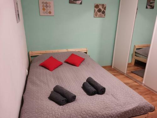 Apartamento Tampa Studio