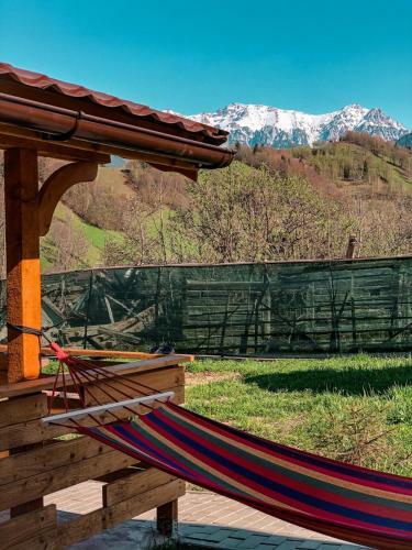 Lodge Cabanute Luca Ama Bran