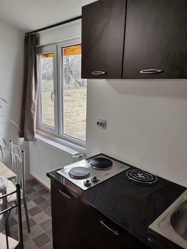 Lodge Cabanute Luca Ama Bran