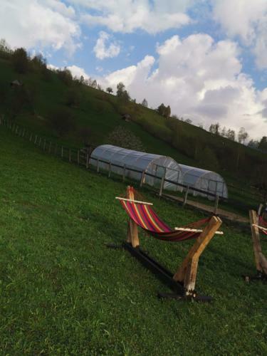 Lodge Cabanute Luca Ama Bran
