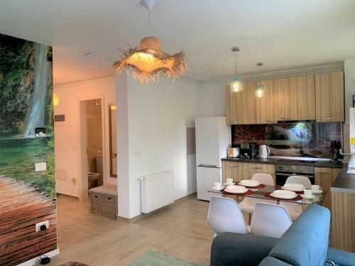 Brasov Welcome Apartments Zen