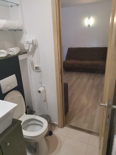 M&f Apartament Porumbescu