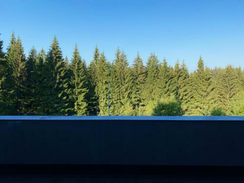 Apartamento Silver Mountain Duplex With Garden And Fireplace