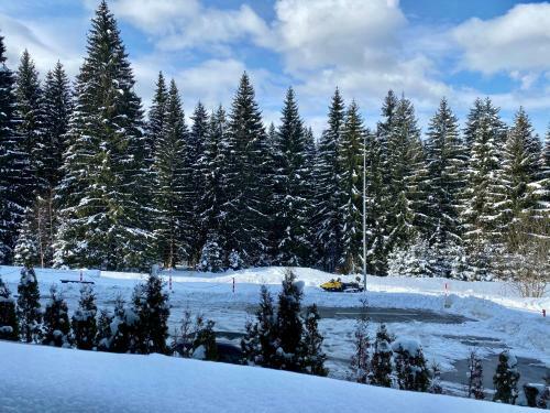 Apartamento Silver Mountain Duplex With Garden And Fireplace