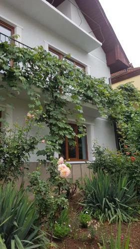 Apartamento Madalina