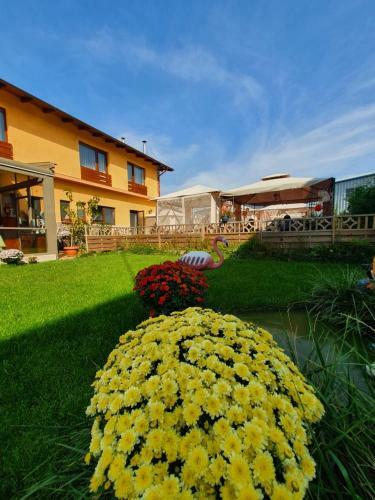 Hostal Sultan Mehmet Pensiune & Restaurant