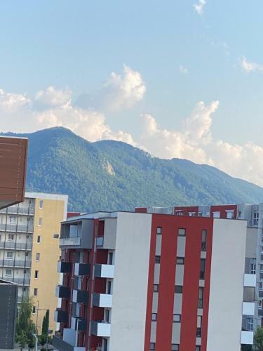 Apartmentcity
