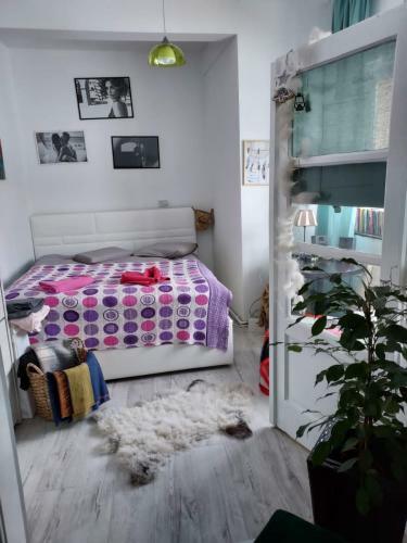 Old Town Cozy Apartment