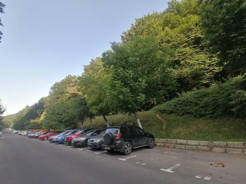 Apartament Racadau