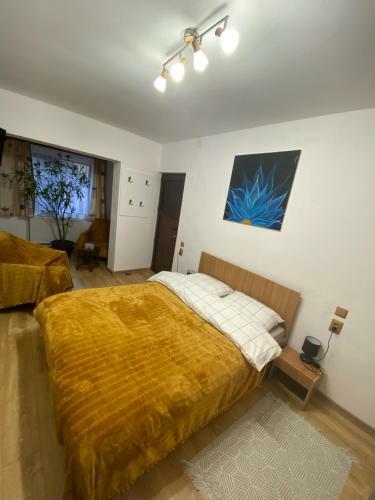 Hostal Casa Felice