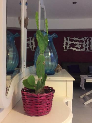Apartamento La Barracuda