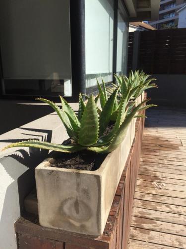 Apartamento La Barracuda