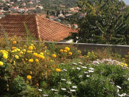 Villa Girasol