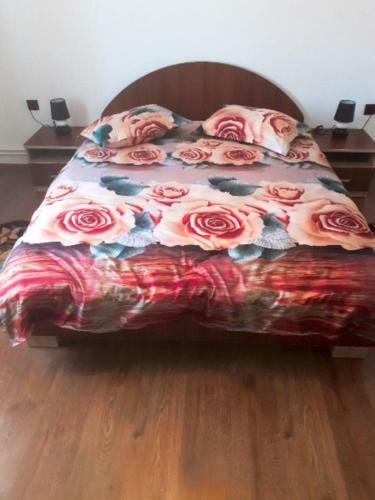Hostal Pensiunea Miruna