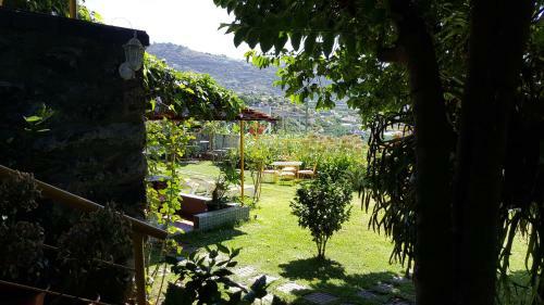 Villa Fedra