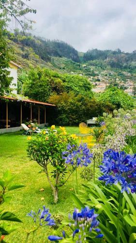 Villa Fedra