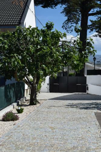 Casa Do Ch�o Do Cruzeiro