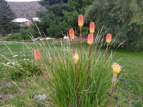 Caba�a Oregones Del Valle