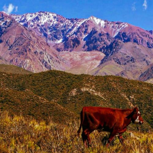 Nomade Mountain House Valle Del Sol