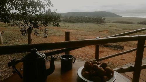 Glamping Panorama