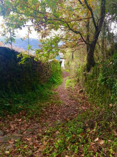 Quinta Da Aranha