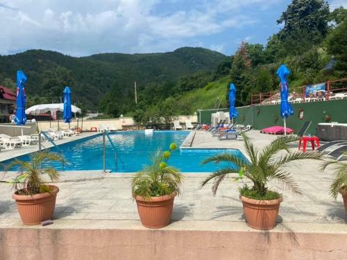 Motel Visina