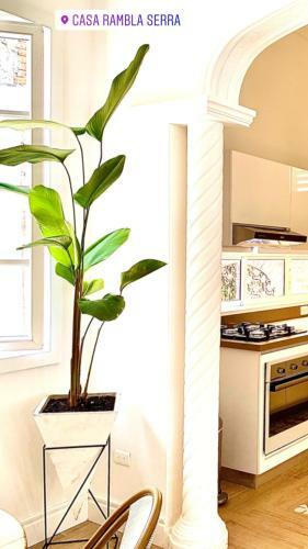 Apartamento Casa Rambla Serra Cali