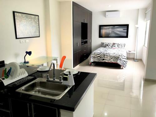 Apartaestudio Arboleda Del Ingenio