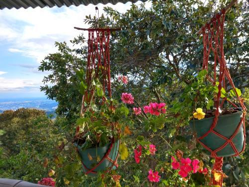 Alojamiento Rural Villa Tod� Rab�