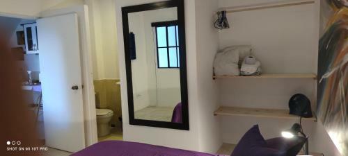 Apartamento Violet Parrot San Antonio