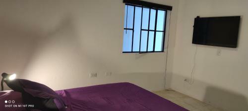 Apartamento Violet Parrot San Antonio