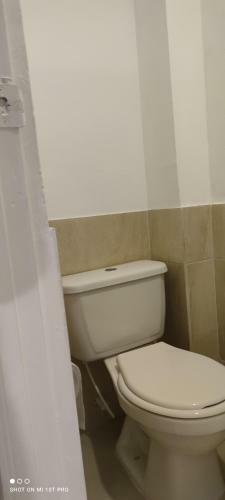 Apartamento Violet Parrot San Antonio