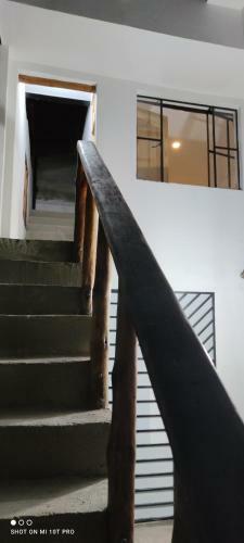 Apartamento Violet Parrot San Antonio